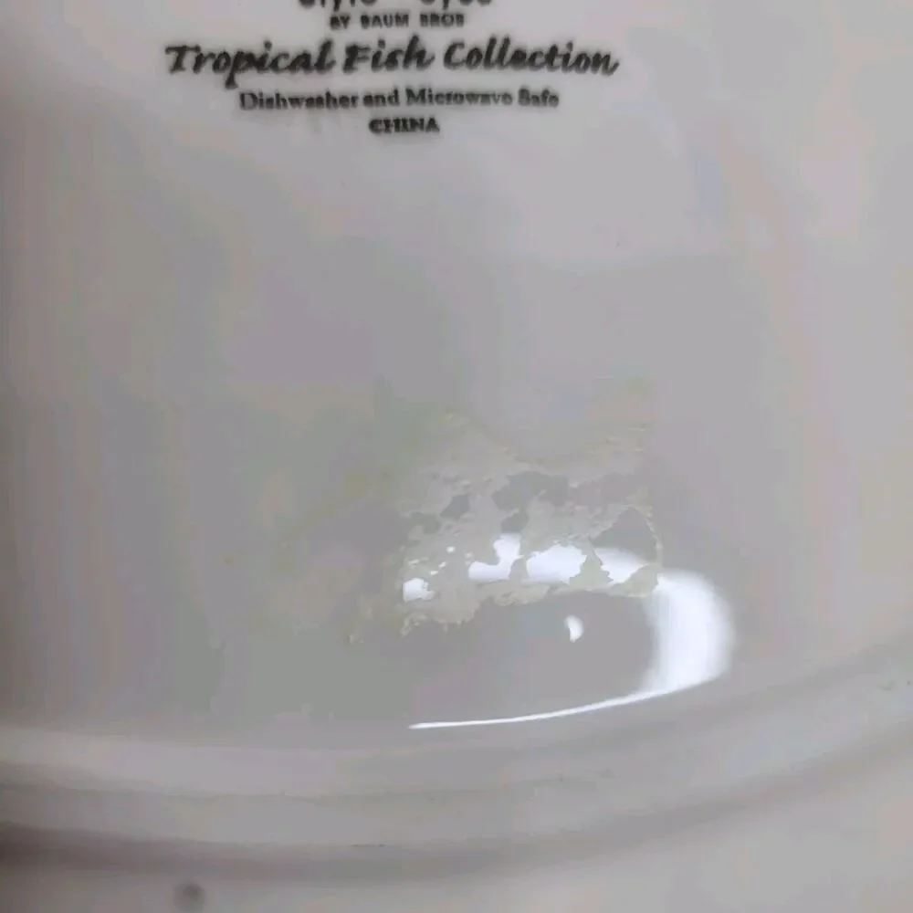 Style Eyes By Baum Bros Tropical Fish Collection Ceramic Dish